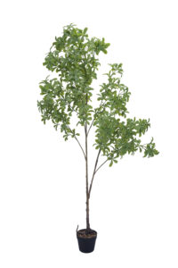 Artificial Minimalist Enkianthus Tree
