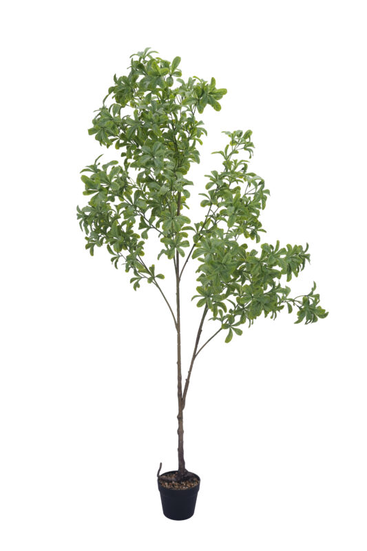 Artificial Minimalist Enkianthus Tree