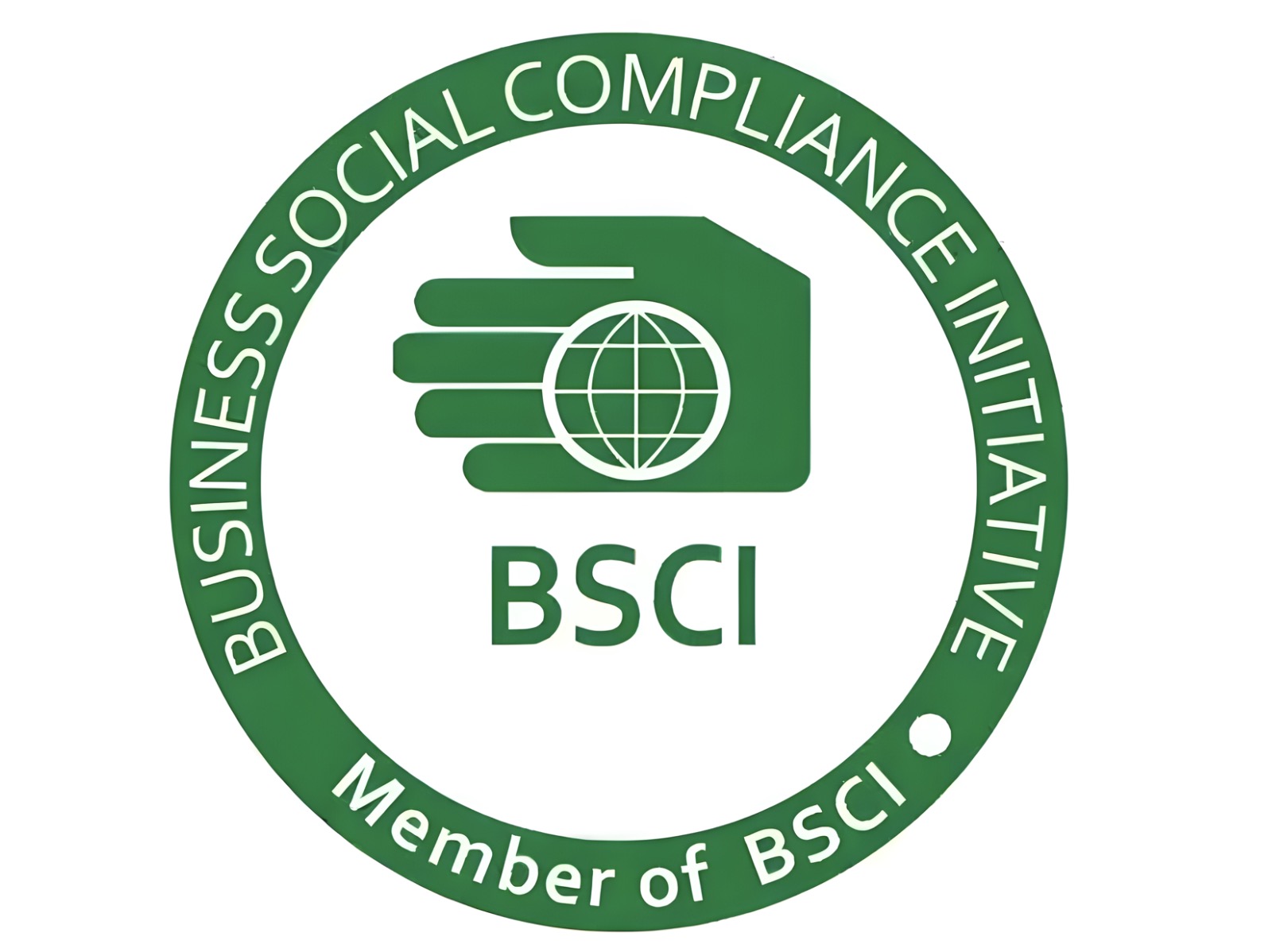 bcsi image