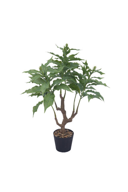 2 ft Artificial Mini Potted Laurel PE - Artificial Plant Wholesale from Manufacturer