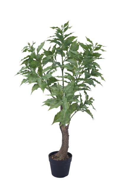 Artificial Aged Trunk Laurel Tree - Artificial Plant Wholesale from Leading Manufacturer