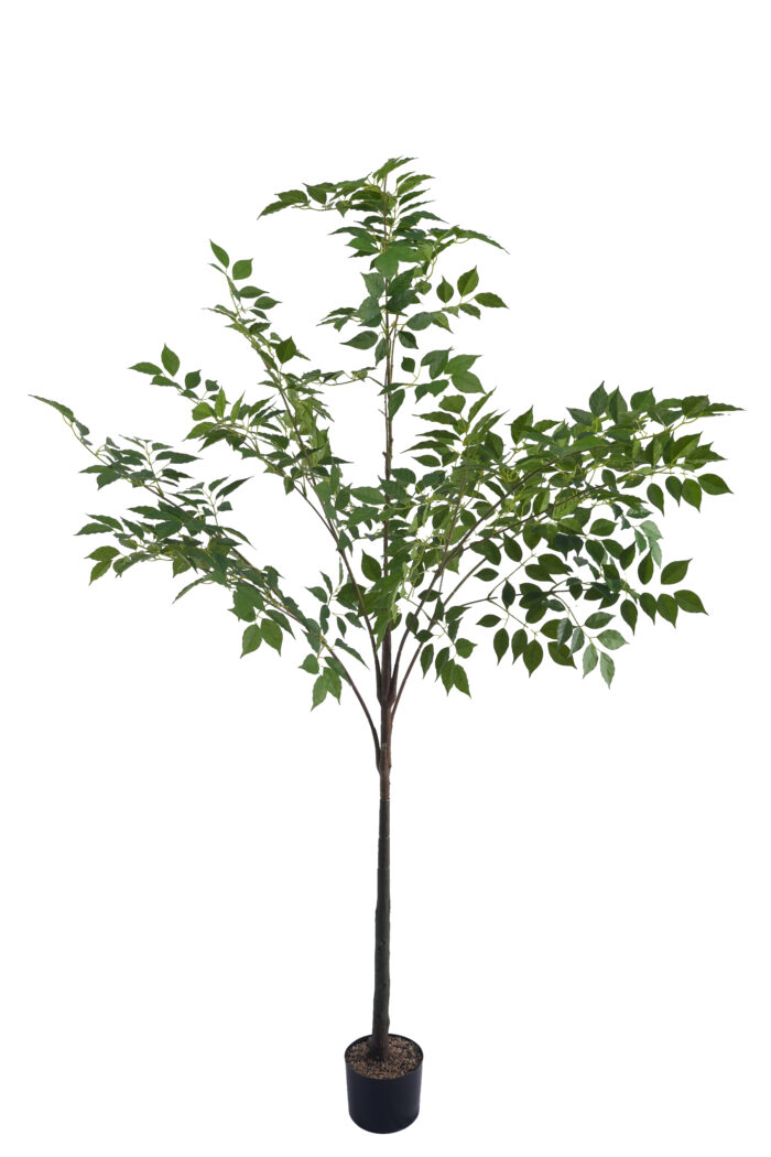 6 ft. Artificial Ficus Tree - Large Faux Ficus for Wholesale