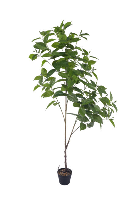 5.5 ft. Artificial Wintersweet Leaves - Lifelike Faux Wintersweet for Wholesale