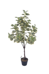 4 ft. Artificial Variegated Ficus Triangularis - Lifelike Faux Ficus Triangularis for Wholesale