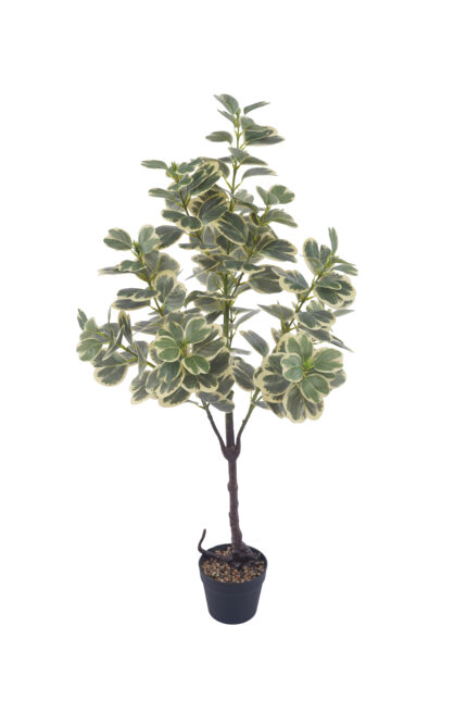 4 ft. Artificial Variegated Ficus Triangularis - Lifelike Faux Ficus Triangularis for Wholesale