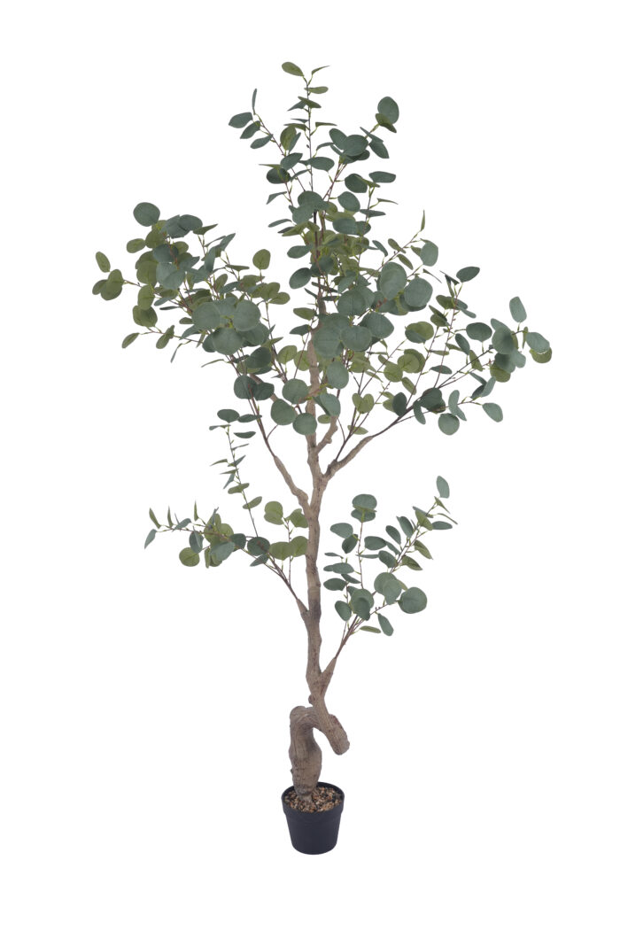 6 ft. Artificial Eucalyptus Tree - Lifelike Faux Eucalyptus for Indoor Decor