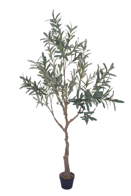 5.5 ft. Artificial Olive Tree - Lifelike Faux Olive for Indoor Decor