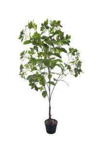 4.2 ft. Artificial Gardenia Flower Tree - Lifelike Faux Gardenia for Indoor Decor