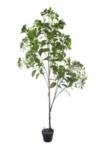 5.5 ft. Artificial Gardenia Flower Tree - Lifelike Faux Gardenia for Indoor Decor
