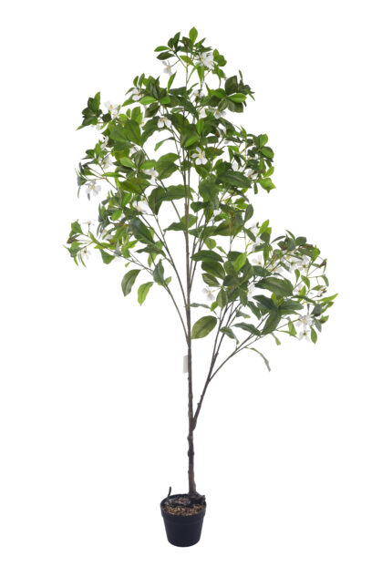 5.5 ft. Artificial Gardenia Flower Tree - Lifelike Faux Gardenia for Indoor Decor