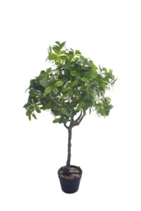 3.1 ft. Artificial Gardenia Flower Tree - Lifelike Faux Gardenia Tree Wholesale