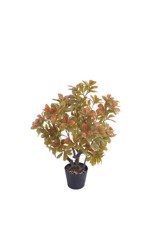 1.8 ft. Artificial Schefflera Tree - Autumn - Faux Autumn Schefflera Tree Wholesale