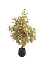 3 ft. Artificial Variegated Ficus Triangularis - Lifelike Faux Ficus Triangularis for Wholesale