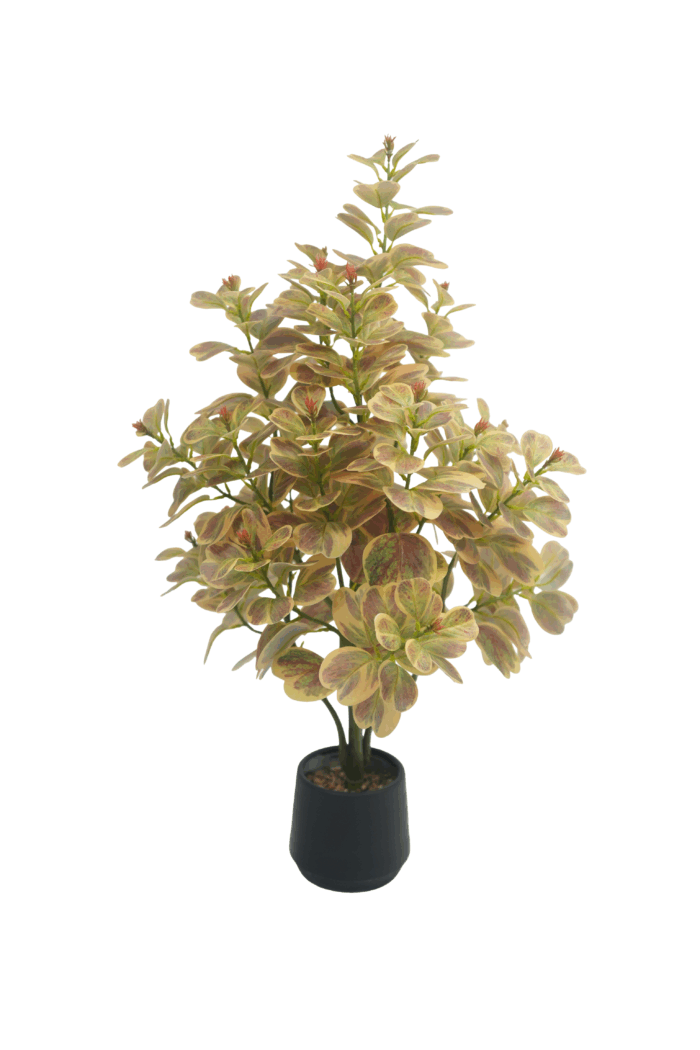 3 ft. Artificial Variegated Ficus Triangularis - Lifelike Faux Ficus Triangularis for Wholesale