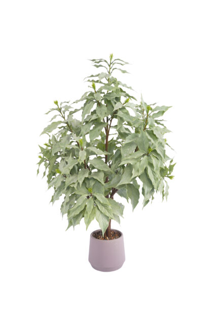 2.9 ft. Artificial White Ficus Soft PE Tree - Lifelike Faux Ficus Wholesale