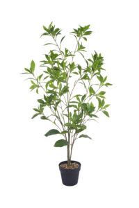 3.2 ft. Potted Artificial Pieris japonica - Faux Pieris japonica Wholesale