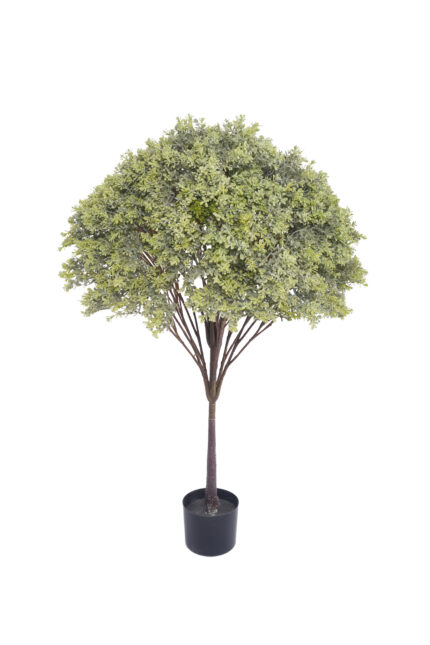 3.6 ft. Artificial Umbrella Topiary Boxwood - Faux Boxwood Topiary Wholesale