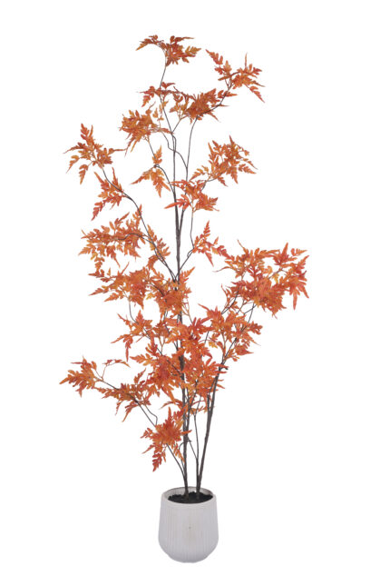 Boston Fern Plant Fronds Detail - Realistic Artificial Boston Fern Texture