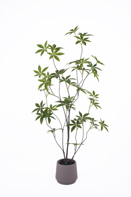 Artificial Money Tree - Faux Money Plant Wholesale