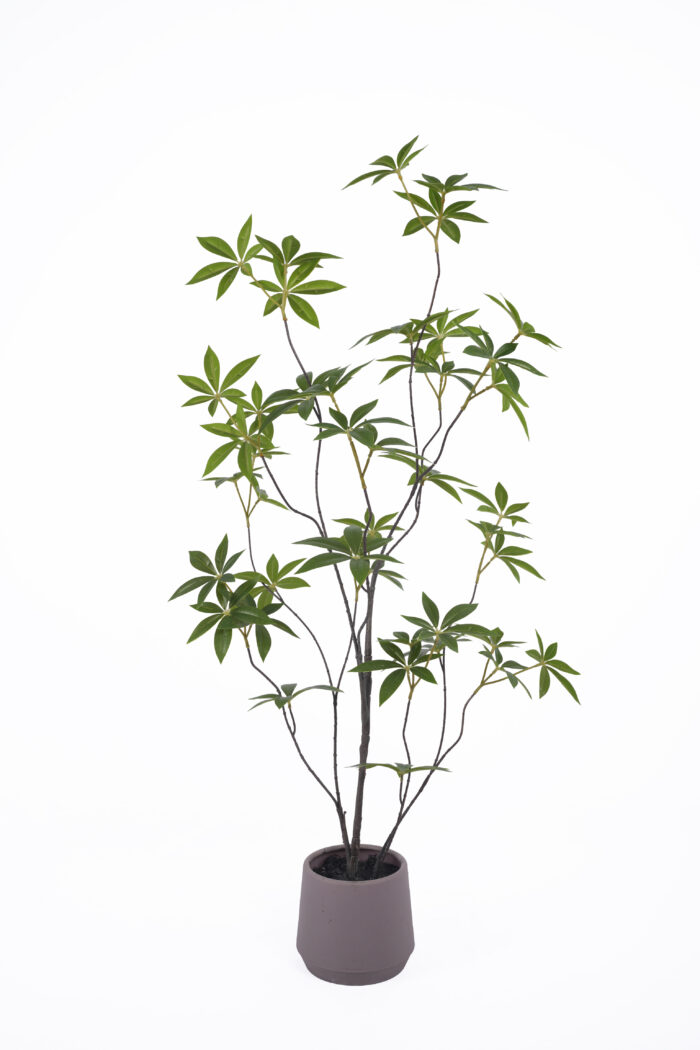Artificial Money Tree - Faux Money Plant Wholesale