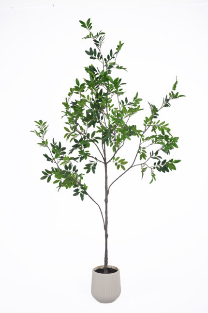5.9 ft Artificial Ficus Tree | Wholesale Faux Ficus