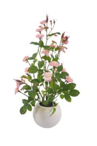 Potted Artificial Mini Rose - Mini Rose Wholesale Collection