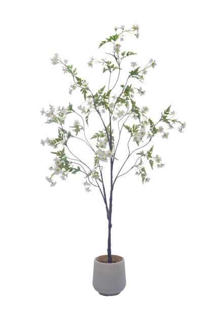Artificial Prunus Mume - Prunus Mume Wholesale Collection