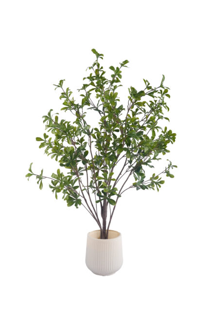 3.3 ft. Real-touch Artificial Cleyera - Real-touch Cleyera Wholesale