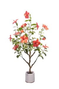 Real-touch Artificial Red Hibiscus - Red Hibiscus Wholesale