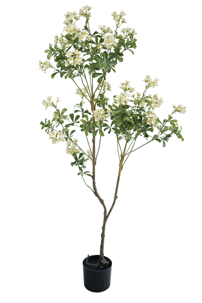 Artificial Choisya Ternata - Choisya Ternata Wholesale