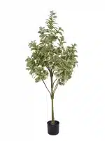 Artificial Ficus Triangularis - 104-1