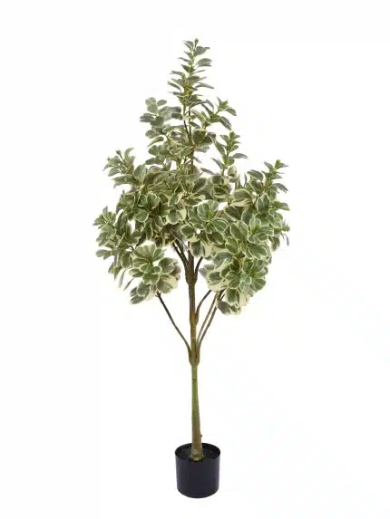 Artificial Ficus Triangularis - 104-1
