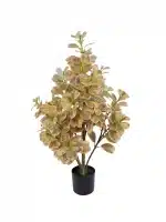 2.6ft Artificial Ficus Triangularis | Variegated Foliage | Artificial Plant - 20-1