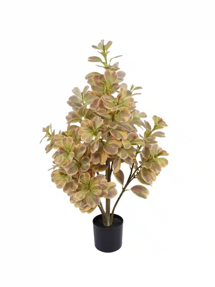 2.6ft Artificial Ficus Triangularis | Variegated Foliage | Artificial Plant - 20-1