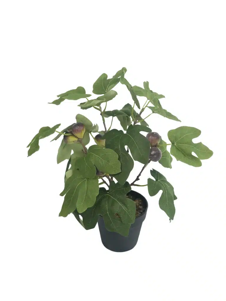 1.3ft Artificial Potted Fig | Fresh Greenery | Artificial Plant - 268-1