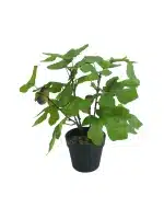 1.3ft Artificial Potted Fig | Fresh Greenery | Artificial Plant - 268-2