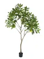 Stunning 7ft Pomelo Tree | Lifelike Fruit - 277