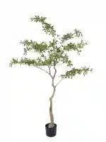 Lifelike 5.7ft Cleyera Tree | Real-Touch Foliage - 279