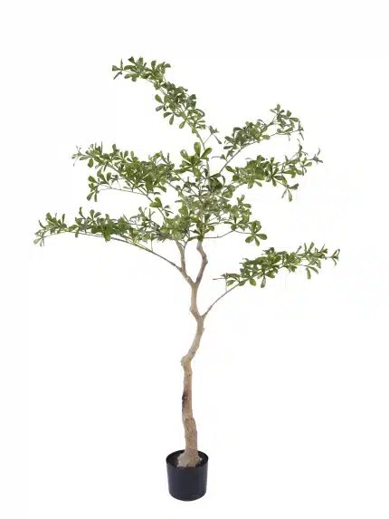 Lifelike 5.7ft Cleyera Tree | Real-Touch Foliage - 279