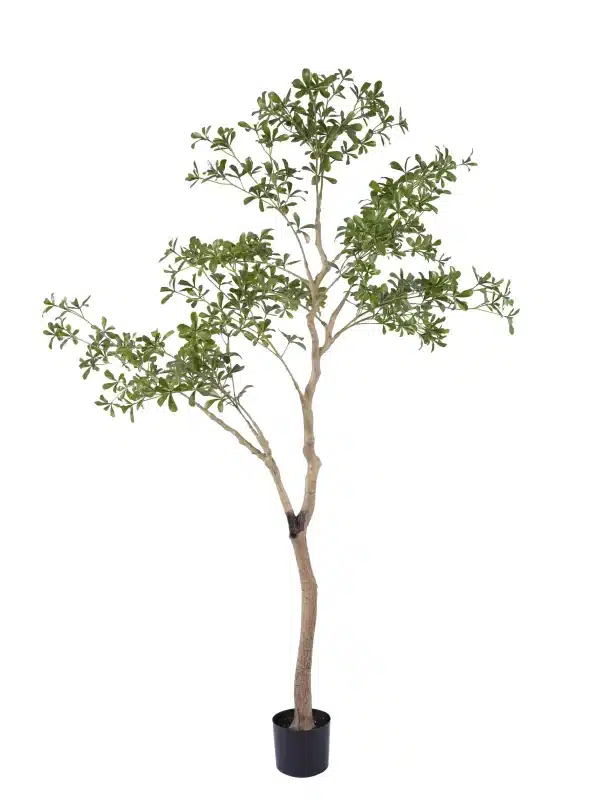 lifelike 6.5ft cleyera tree - 280