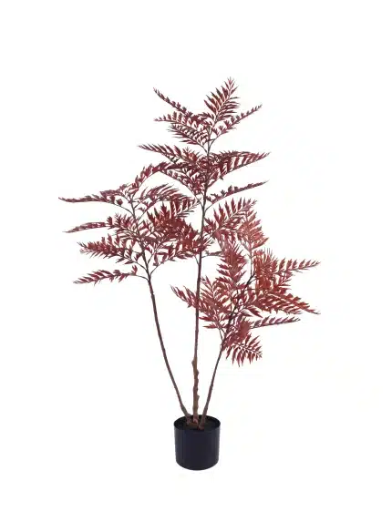 best 4ft foxtail fern - 303-2