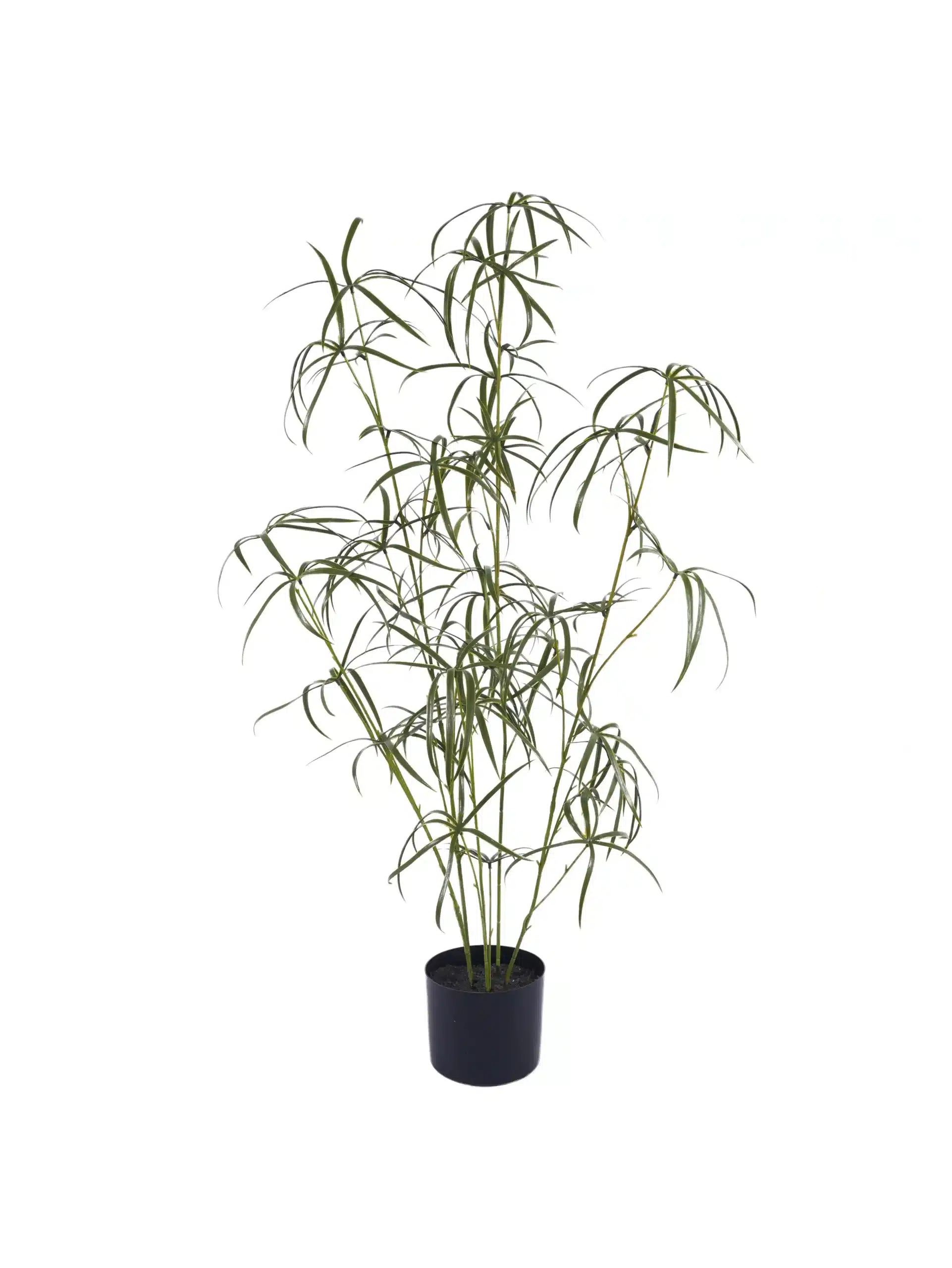 Amazing 3.5ft Windmill Grass | Natural Texture amazing 3.5ft windmill grass - 304-1