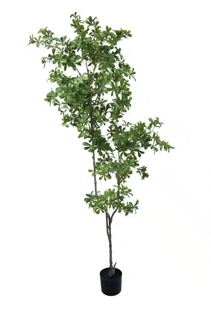 6.5ft Real-Touch Artificial Cleyera | Premium Foliage | Artificial Tree - 8