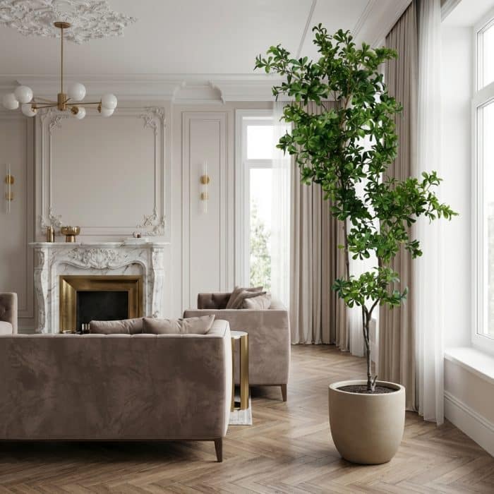 6.5ft Real-Touch Artificial Cleyera | Premium Foliage | Artificial Tree - rd00008_scene_2_1768191509092