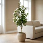 Artificial Camellia Tree - rd00025_1_scene_1767799047796