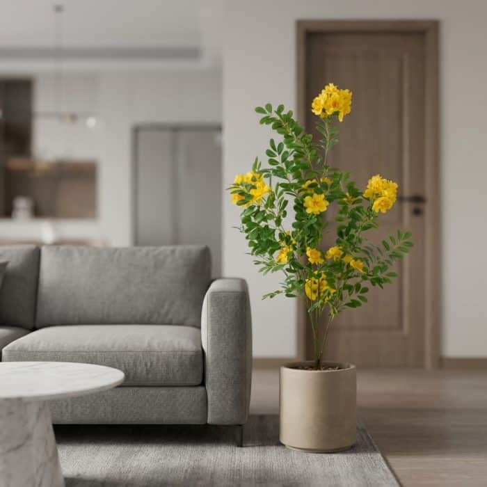 Artificial Orange Jasmine - rd00038_2_scene_1767951013493