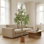 Artificial Ficus Triangularis - rd00104_1_scene_1767952292209