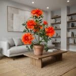 Artificial Dahlia Plant - rd00106_2_scene_1767952501443