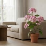 Artificial Hydrangea - rd00109_scene_1768051874530