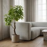 Artificial Laurel Tree - rd00137_scene_1768105935964